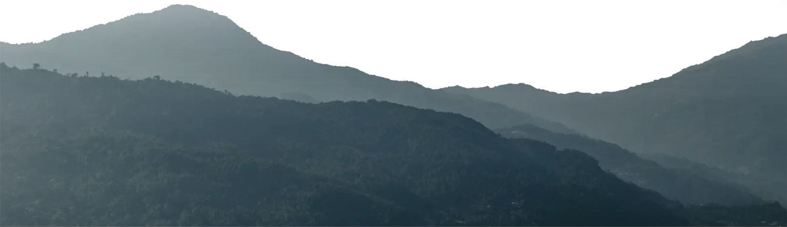 Berglandschaft mit dicht bewachsenen grünen Hügeln und Fernblick